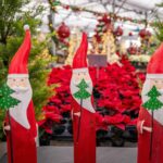 Die Psychologie der Weihnachtsausgaben – Warum kaufen wir zu viel?